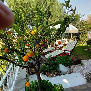 Nikos Stone House 80m From The With Wifi Ferienhaus Gerakini